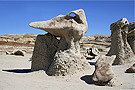 Saurian Skull Hoodoo